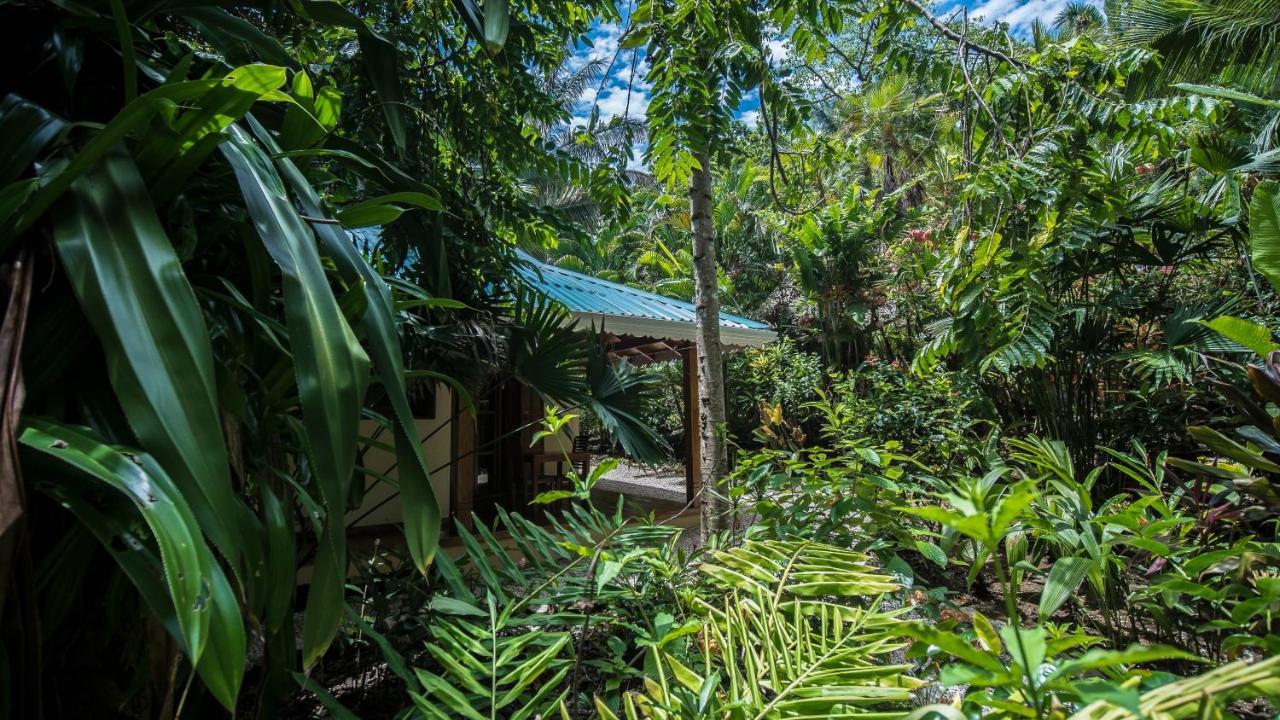 Hotel El Pequeno Gecko Verde Sámara エクステリア 写真