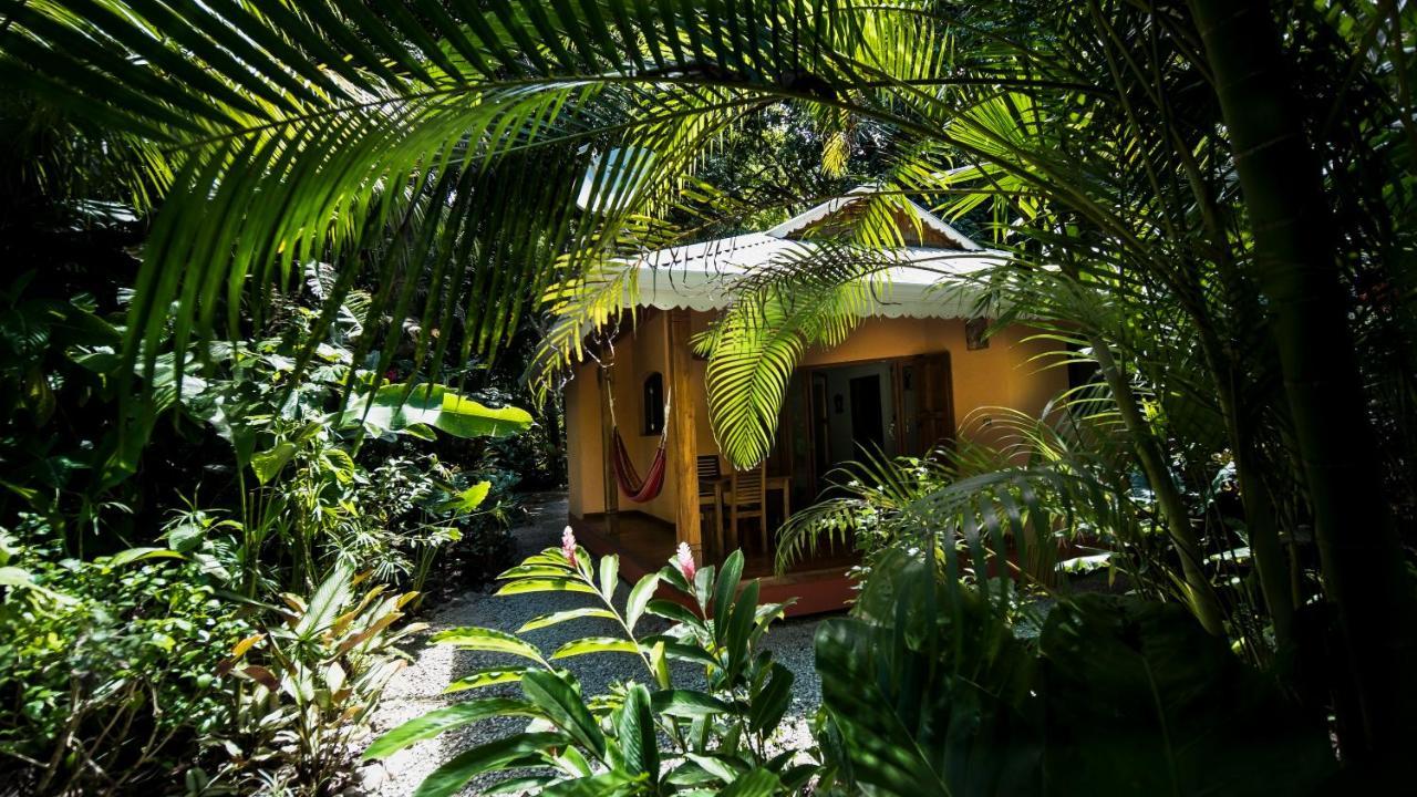 Hotel El Pequeno Gecko Verde Sámara エクステリア 写真