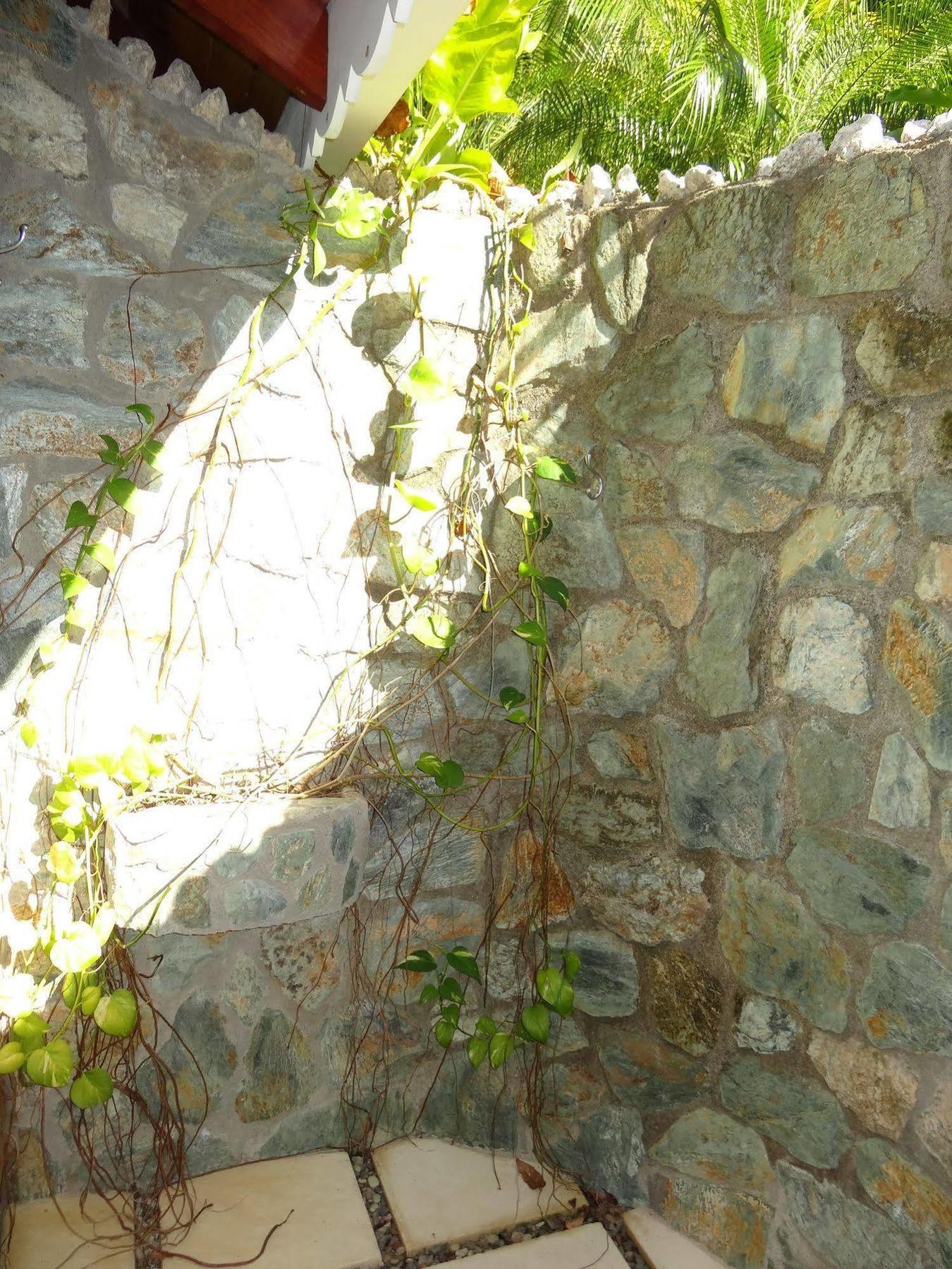 Hotel El Pequeno Gecko Verde Sámara エクステリア 写真