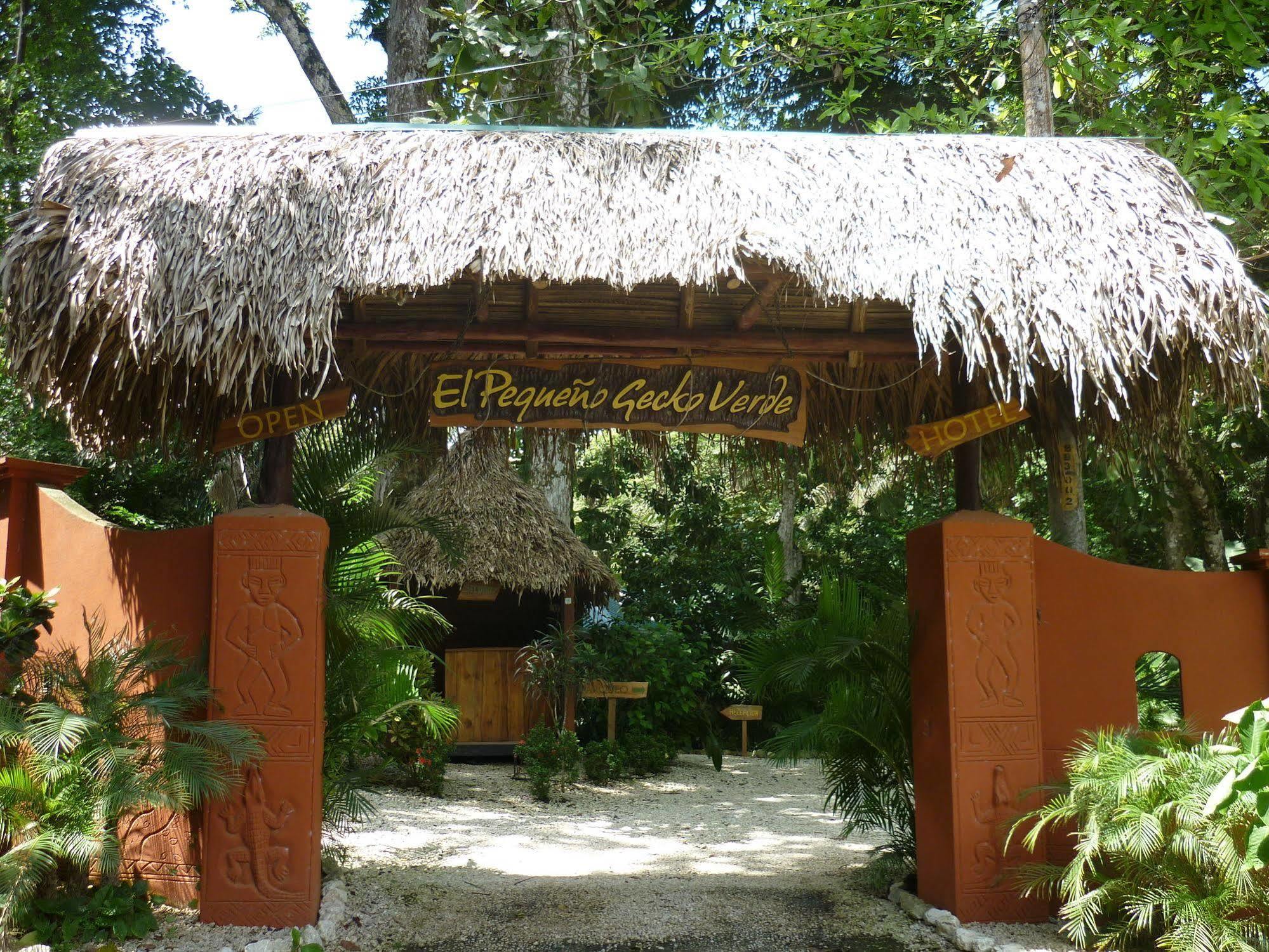 Hotel El Pequeno Gecko Verde Sámara エクステリア 写真