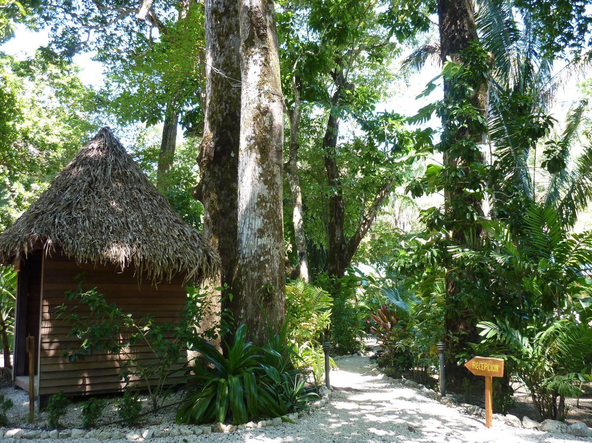 Hotel El Pequeno Gecko Verde Sámara エクステリア 写真