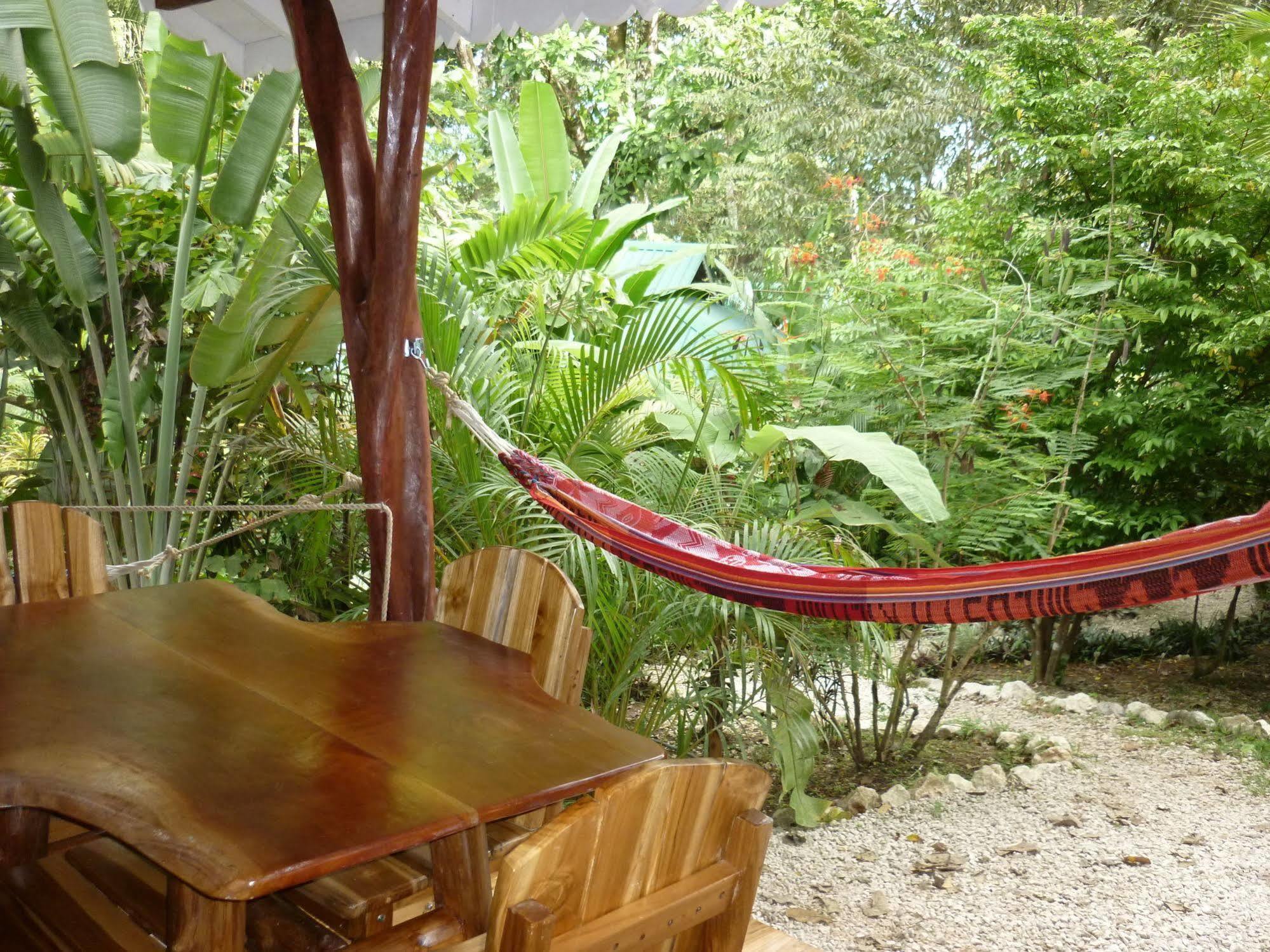 Hotel El Pequeno Gecko Verde Sámara エクステリア 写真