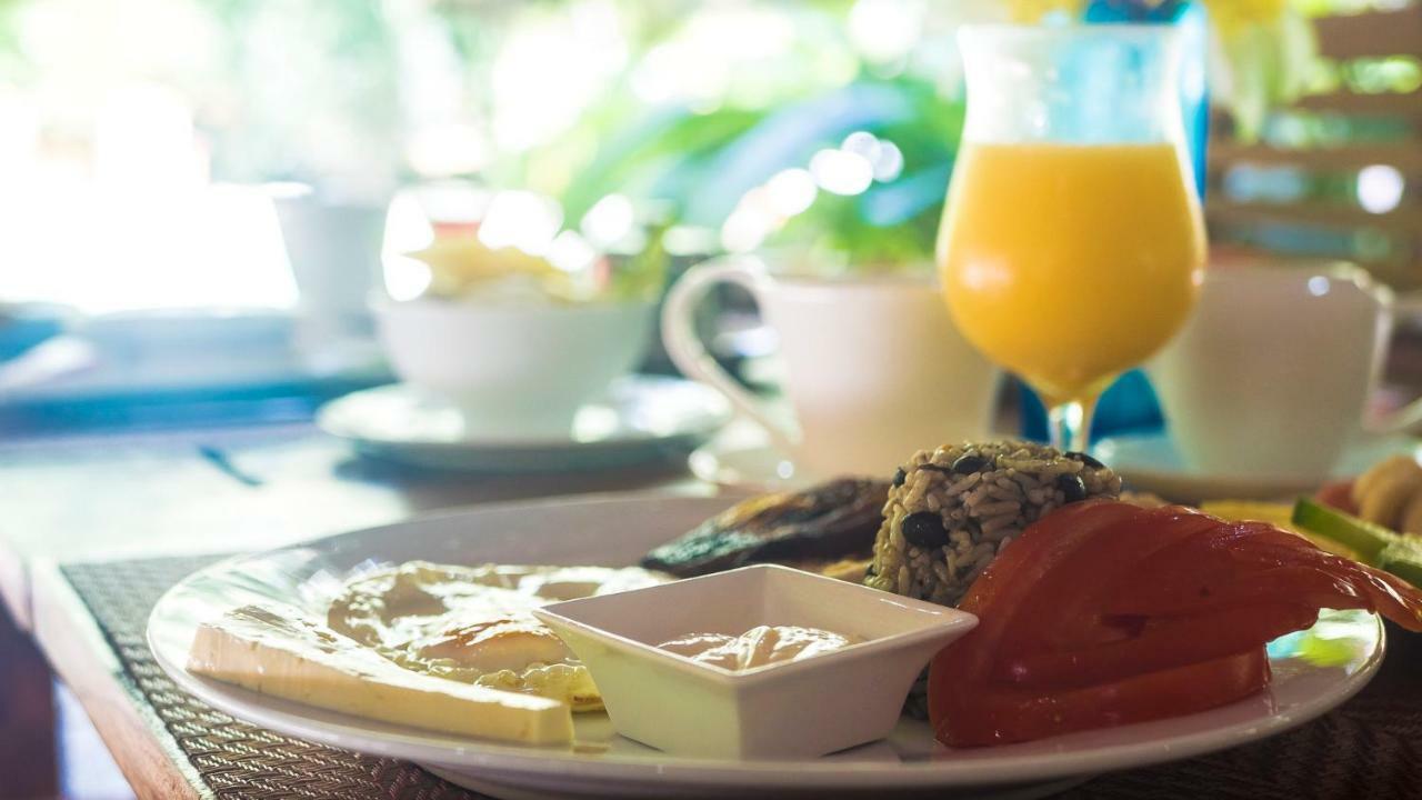 Hotel El Pequeno Gecko Verde Sámara エクステリア 写真