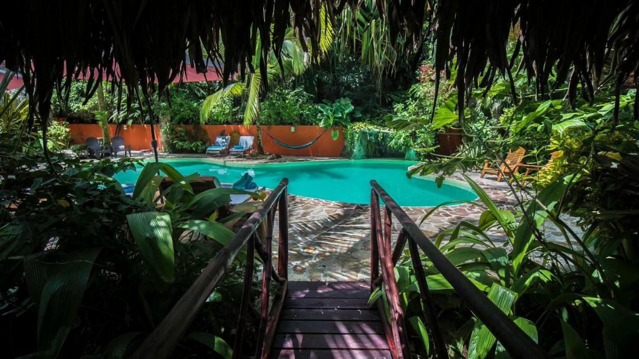 Hotel El Pequeno Gecko Verde Sámara エクステリア 写真