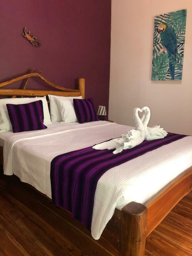 Hotel El Pequeno Gecko Verde Sámara エクステリア 写真