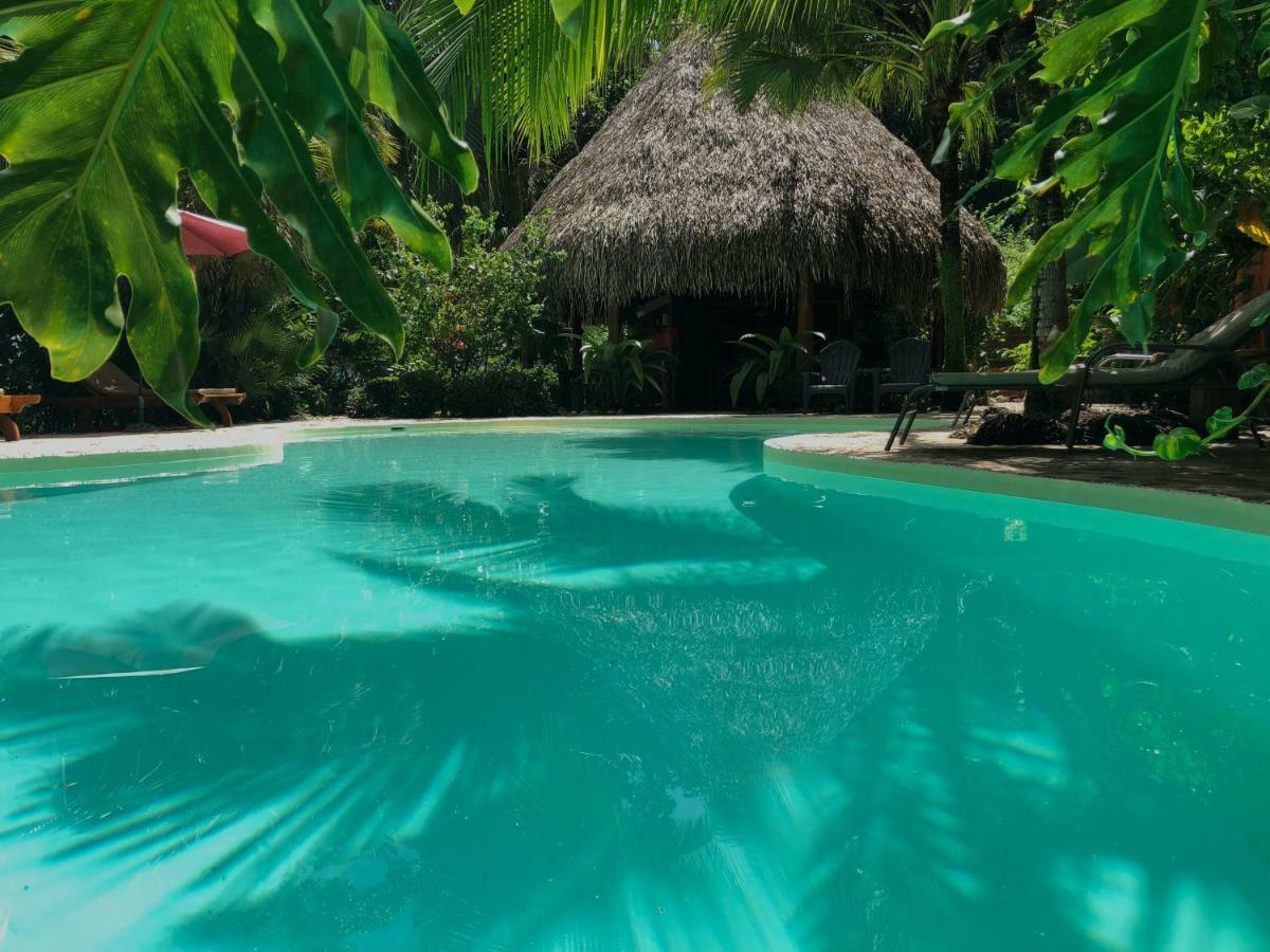 Hotel El Pequeno Gecko Verde Sámara エクステリア 写真